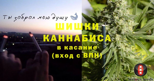 не бодяженный Новодвинск