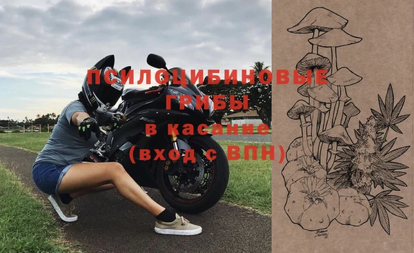 дмт Новокубанск