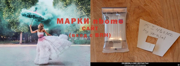 дмт Новокубанск