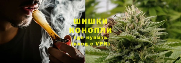 ГАЛЛЮЦИНОГЕННЫЕ ГРИБЫ Абаза